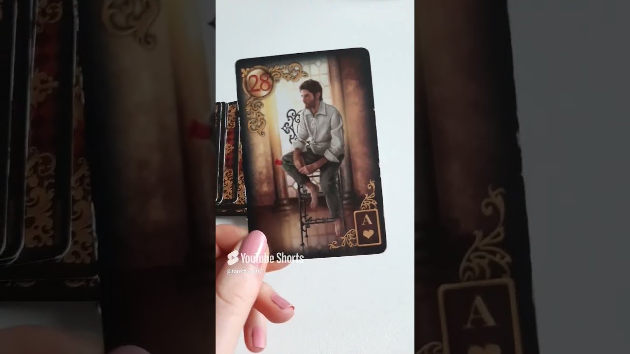 No momento, você está visualizando Was kommt heute auf dich zu❓️@tarotfox6071 #shorts #tarot #liebe #orakel #love #tarotreading