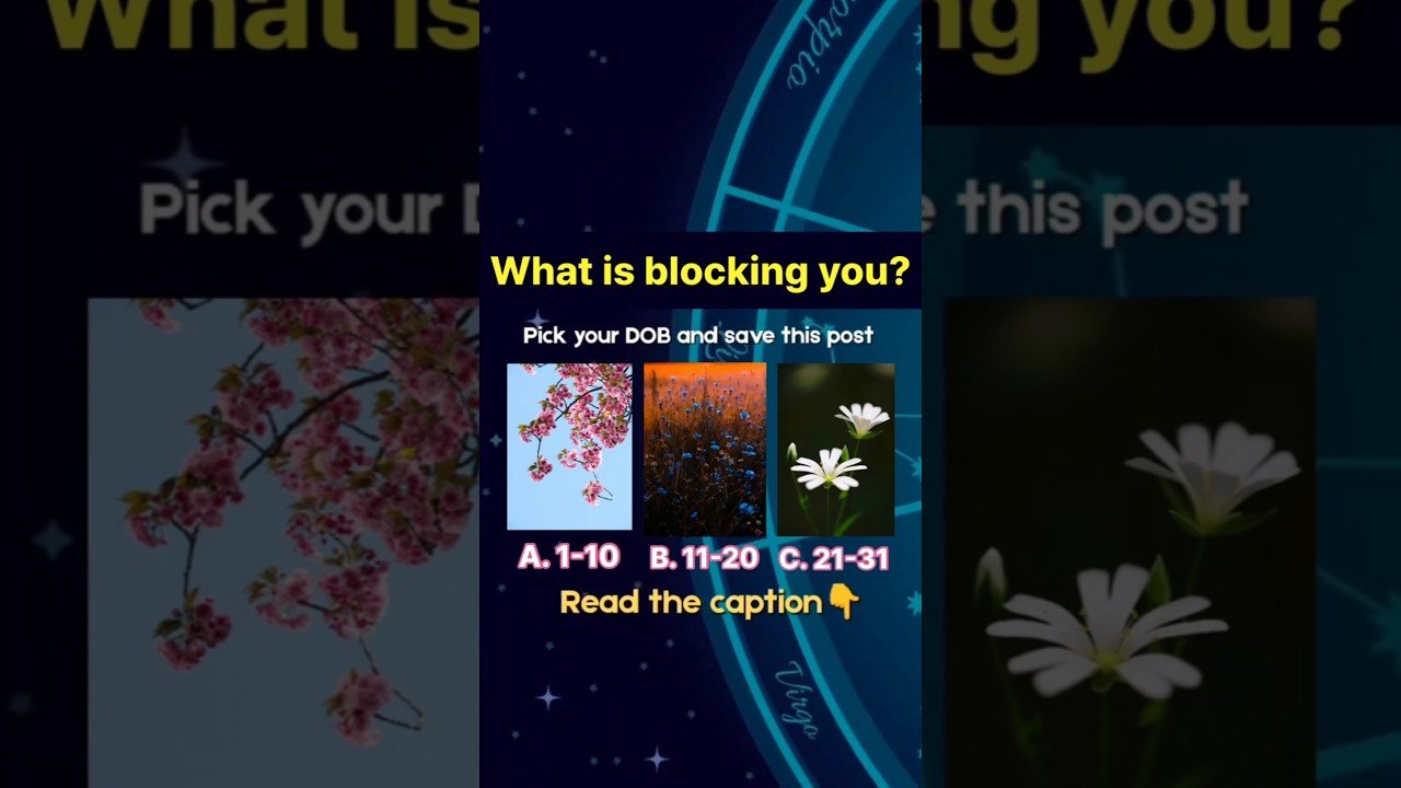 No momento, você está visualizando What’s blocking you? DoB reading | Akriti Bhatia | Cosmic message #tarot #tarotreading #fortune