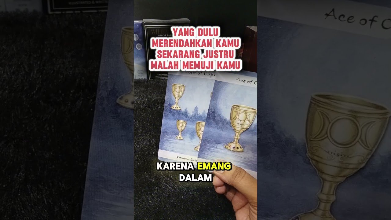 No momento, você está visualizando YANG DULU MERENDAHKAN KAMU SEKARANG JUSTRU MALAH MEMUJI KAMU #tarot #tarotreading