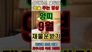 Leia mais sobre o artigo 좋은집을 주는 양띠 신