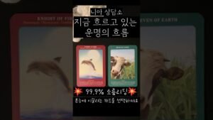 Leia mais sobre o artigo [타로] 지금 내게 다가올 운명의 흐름