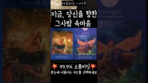 Leia mais sobre o artigo [타로] 지금 당신을 향한 그 사람 속마음