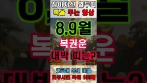 Leia mais sobre o artigo 황금 원숭이의 복권운
