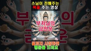 Leia mais sobre o artigo 부처님의 금전운