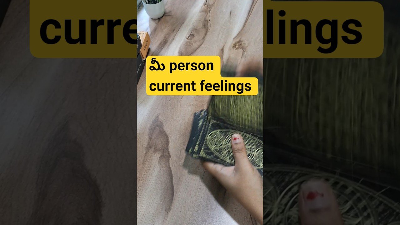 No momento, você está visualizando మీ person current feelings #tarot #tarotreading