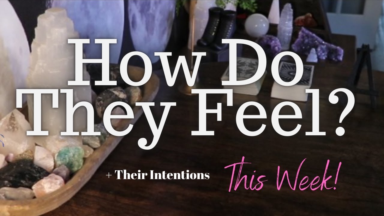 No momento, você está visualizando ALL SIGNS: Their FEELINGS For YOU This WEEK!!
