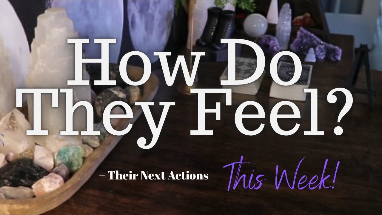 No momento, você está visualizando ALL SIGNS: Their FEELINGS For YOU This WEEK!