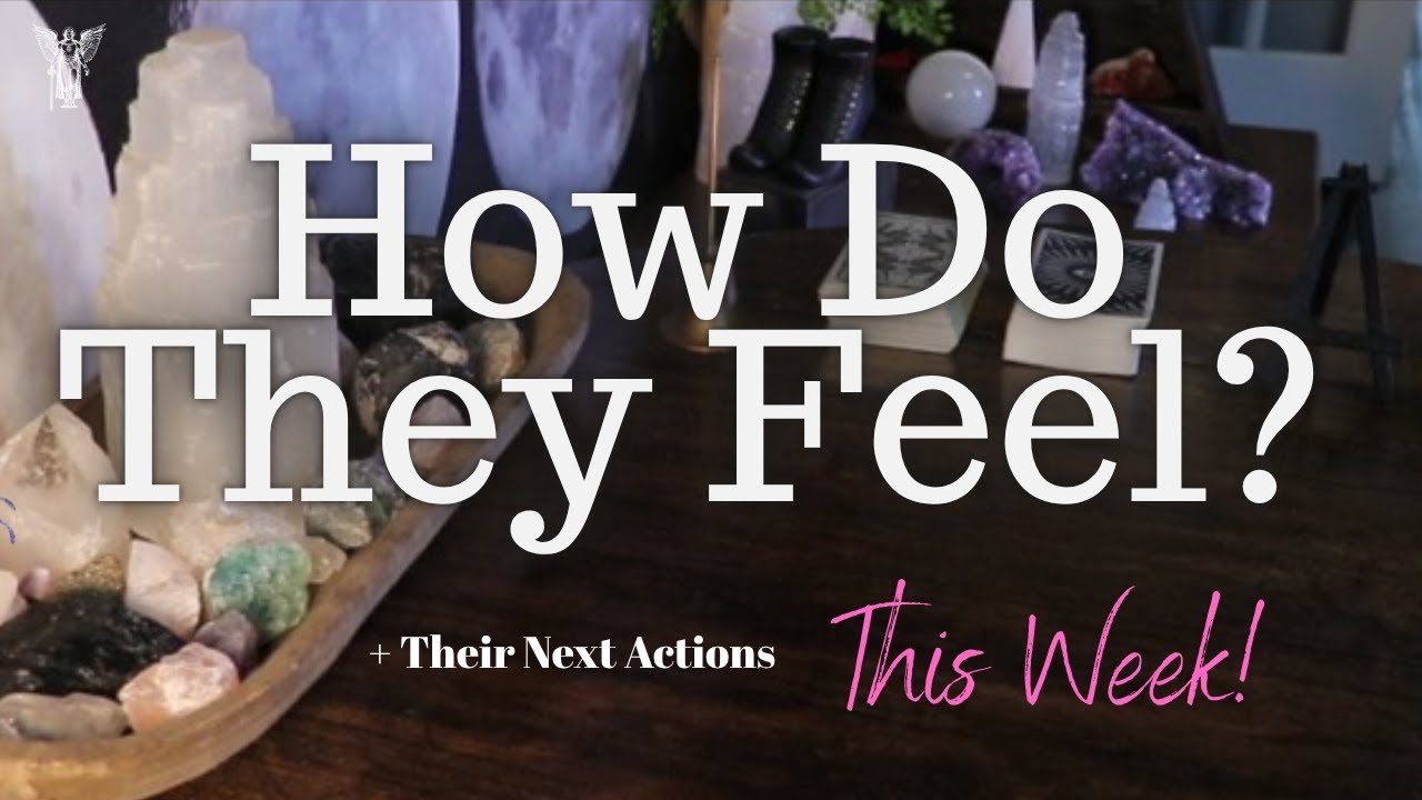 No momento, você está visualizando ALL SIGNS: Their FEELINGS For YOU This WEEK!
