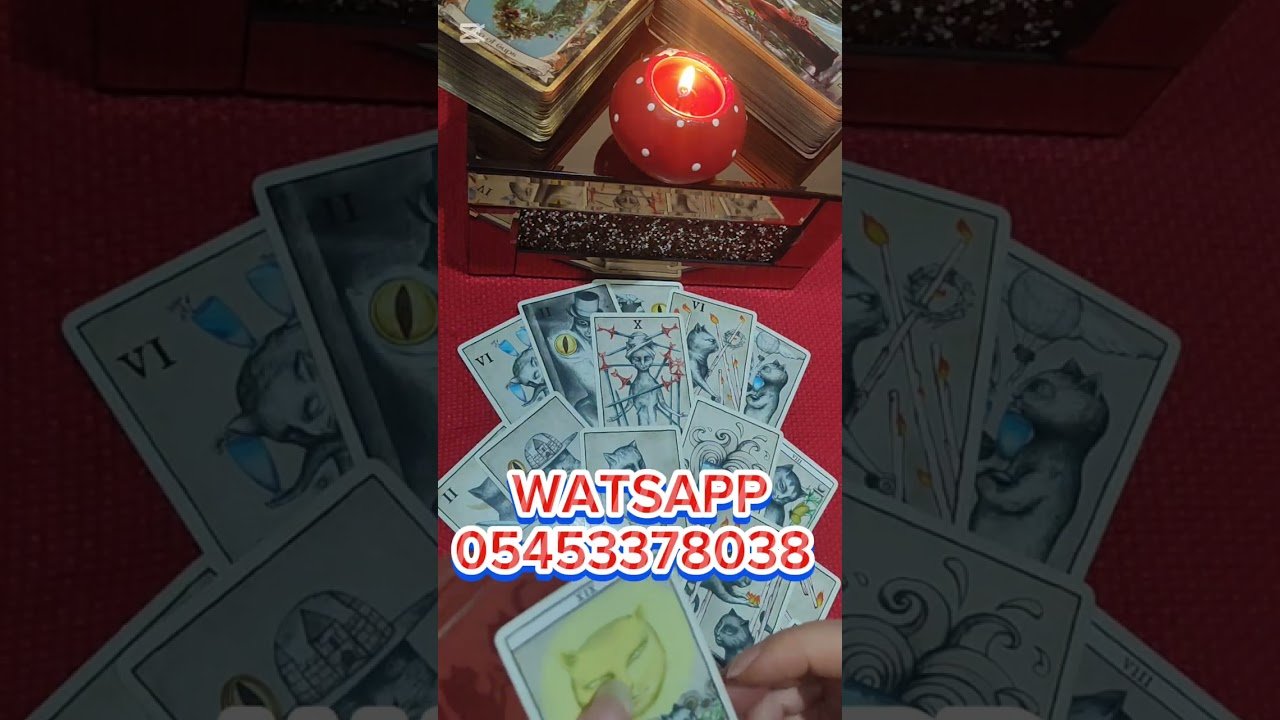 No momento, você está visualizando BUNU BİLMİYORSUN😲BAK KARTLAR NELER ANLATTI😲#TAROTENERJİYORUMU #KART#AŞK#TAROT #TAROT #TAROTREADİNG