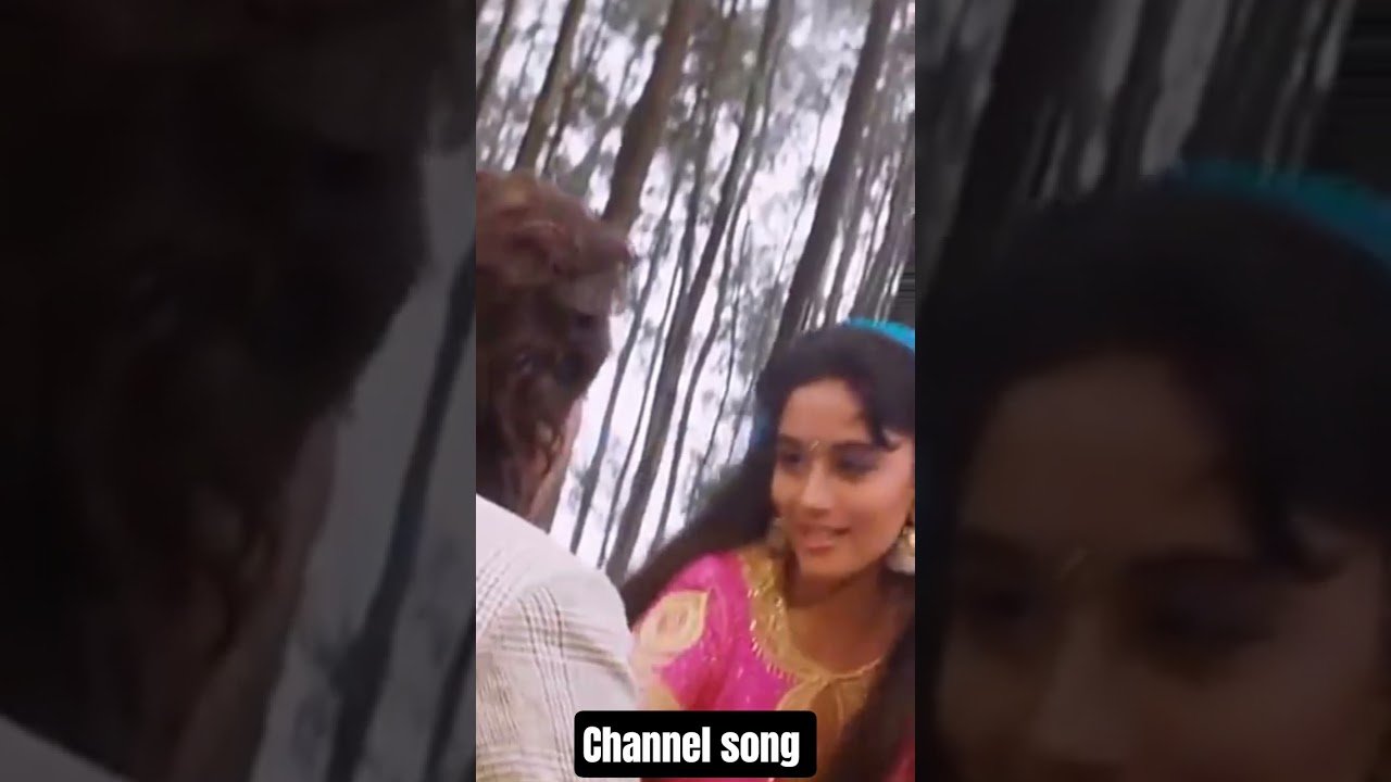 No momento, você está visualizando channel song # shorts #madhuridikshit #tarot #twinflamesunion #tarotreading #twinflame #viralvideo