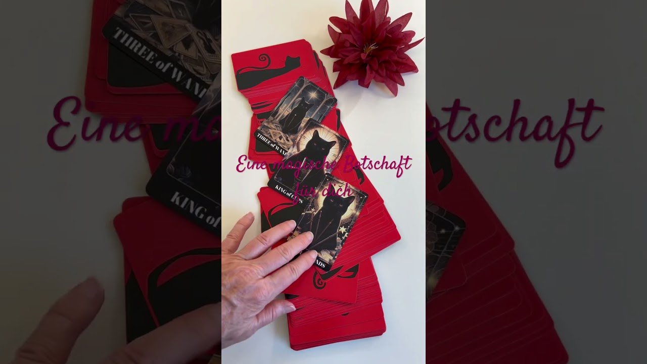 No momento, você está visualizando Eine magische Botschaft für dich! Black Cat Tarot