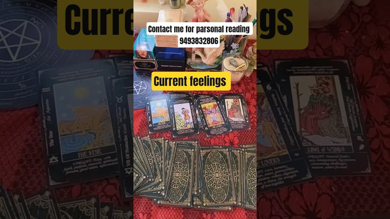 No momento, você está visualizando July #tarot #lifeisbutadream #tarotreading #whowillbemylifepartnerta #tarotreader #lovereading