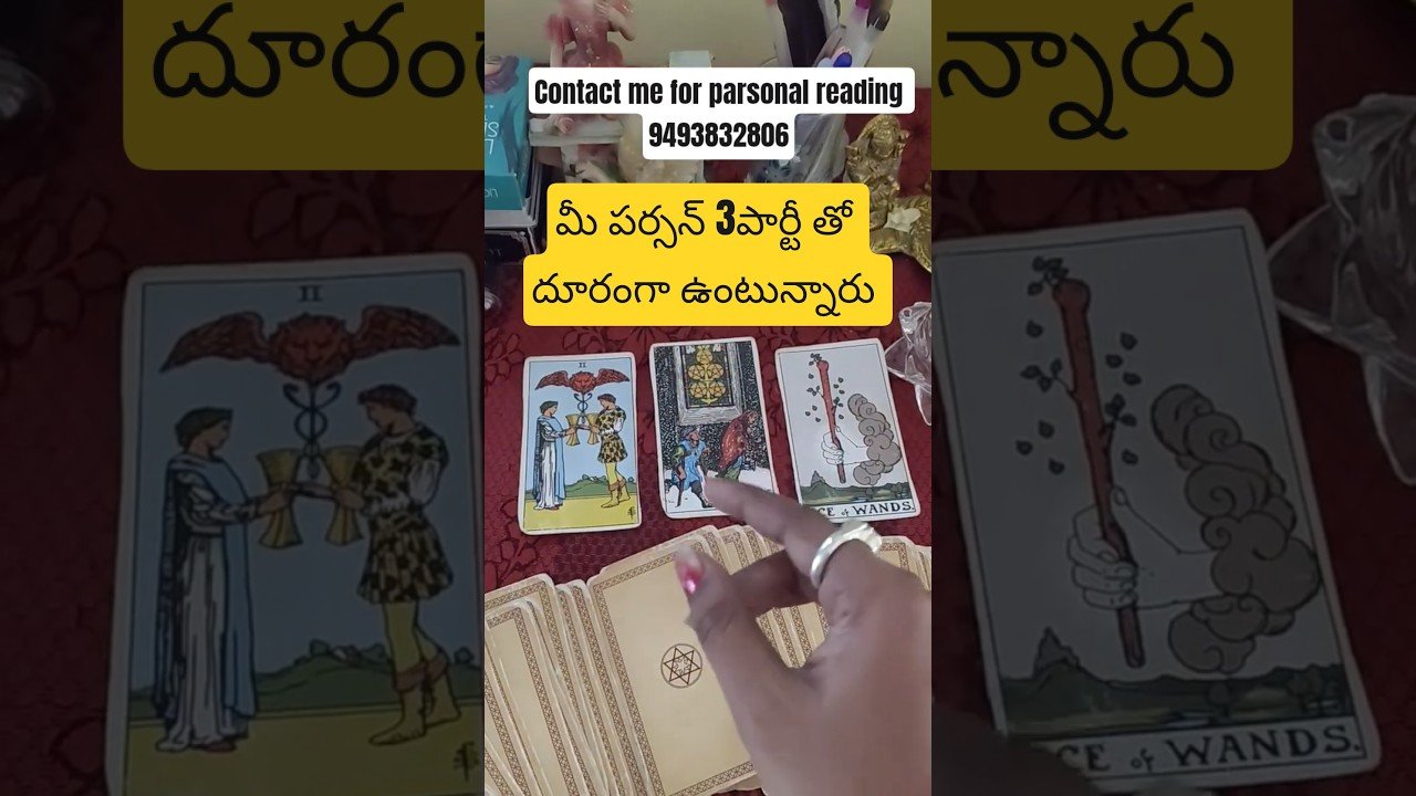 No momento, você está visualizando July #tarot #lifeisbutadream #tarotreading #whowillbemylifepartnerta #tarotreader #viralvideo