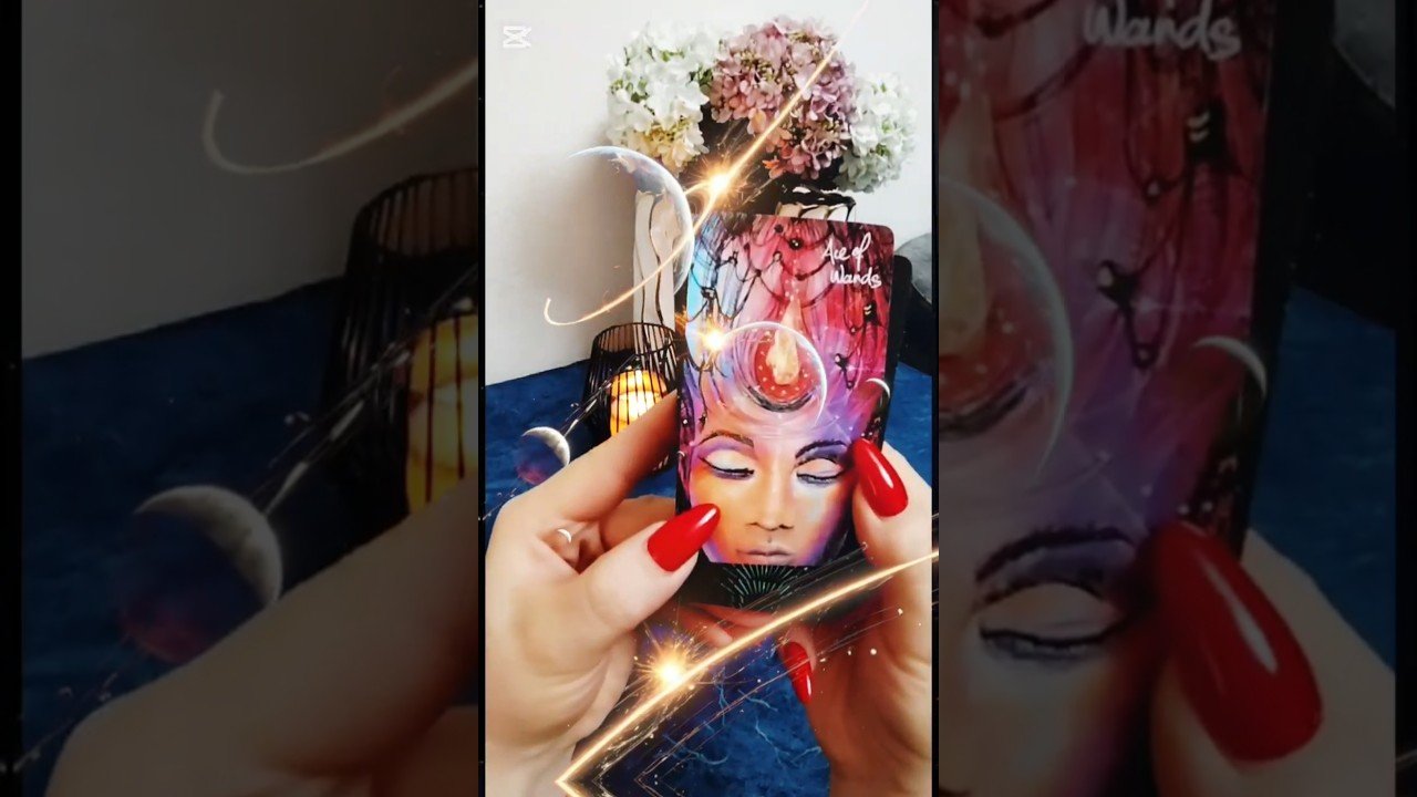 No momento, você está visualizando #kunkartasi javobi ⤵️📲998935669963 #taro#tarot#tarotfol#tarotkartafoli#tarokartafoli