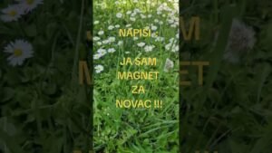 Leia mais sobre o artigo POZITIVNA PORUKA DANA ZA TEBE 🧡 ENERGIJA SREĆE I DOBITKA ASTRO TAROT HOROSKOP BLIC LJUBAV