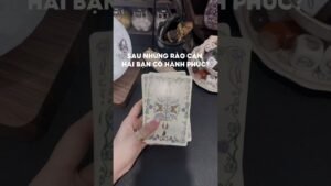 Leia mais sobre o artigo Sau những rào cản, hai bạn có hạnh phúc không? #tarot #duongtarot #tarotreels #tarotvietnam #tinhyeu