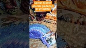 Leia mais sobre o artigo sawan month guidance 🌟🌟हर हर महादेव #tarot #tarotcaards #tarotreading #trending #viralvideo #1176