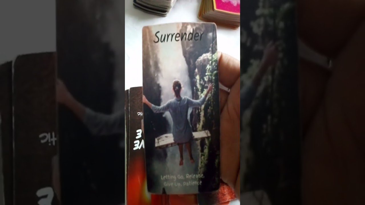No momento, você está visualizando #tarot #tarotreading #tarotcards #tarotreader #love #tarotcardreading