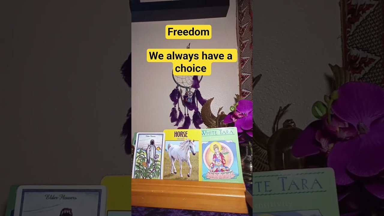 No momento, você está visualizando You chose to free yourself of past limitations 🙌🏽🎉 #tarot #freedom