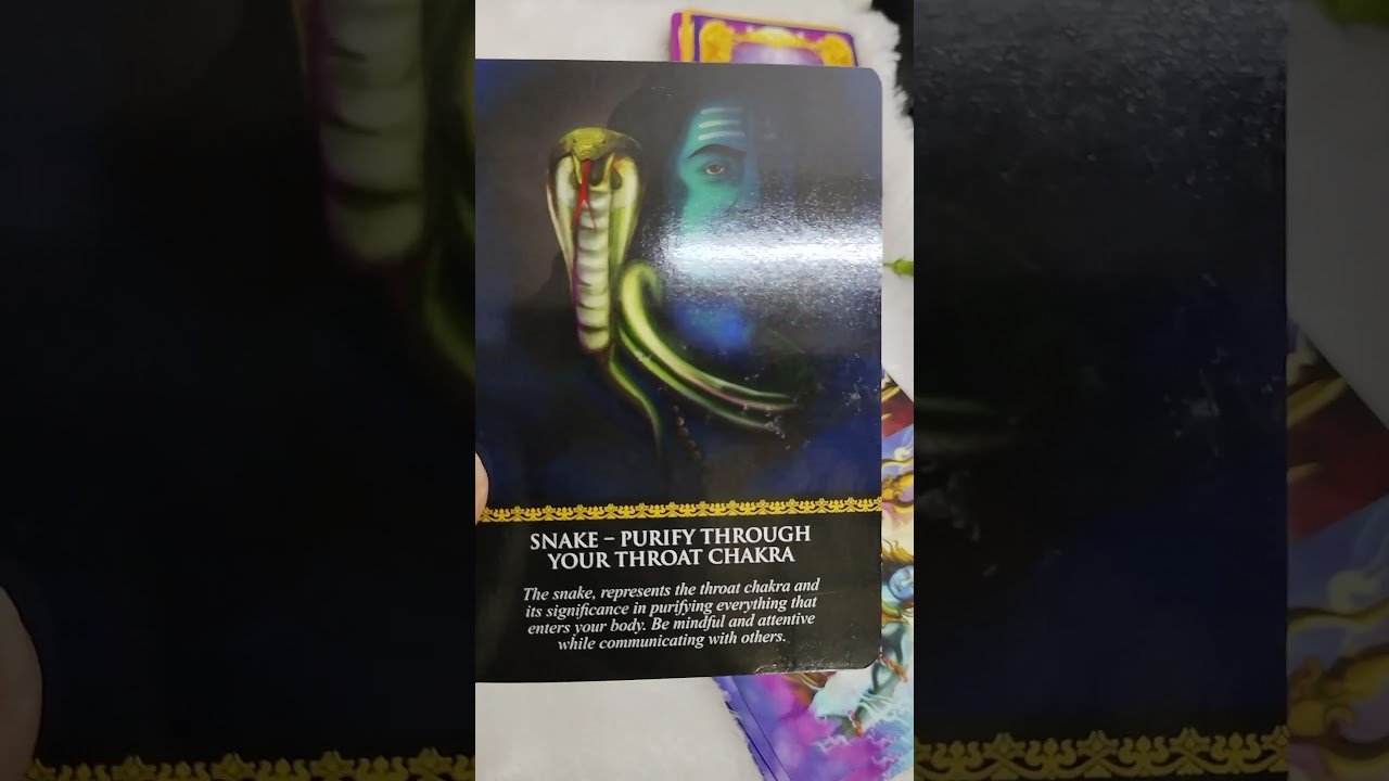 No momento, você está visualizando श्रावण का दिव्य संदेश day 17 #photohealing #tarot #predictions #angel #healing #health