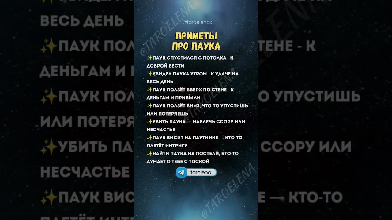 No momento, você está visualizando Приметы про паука