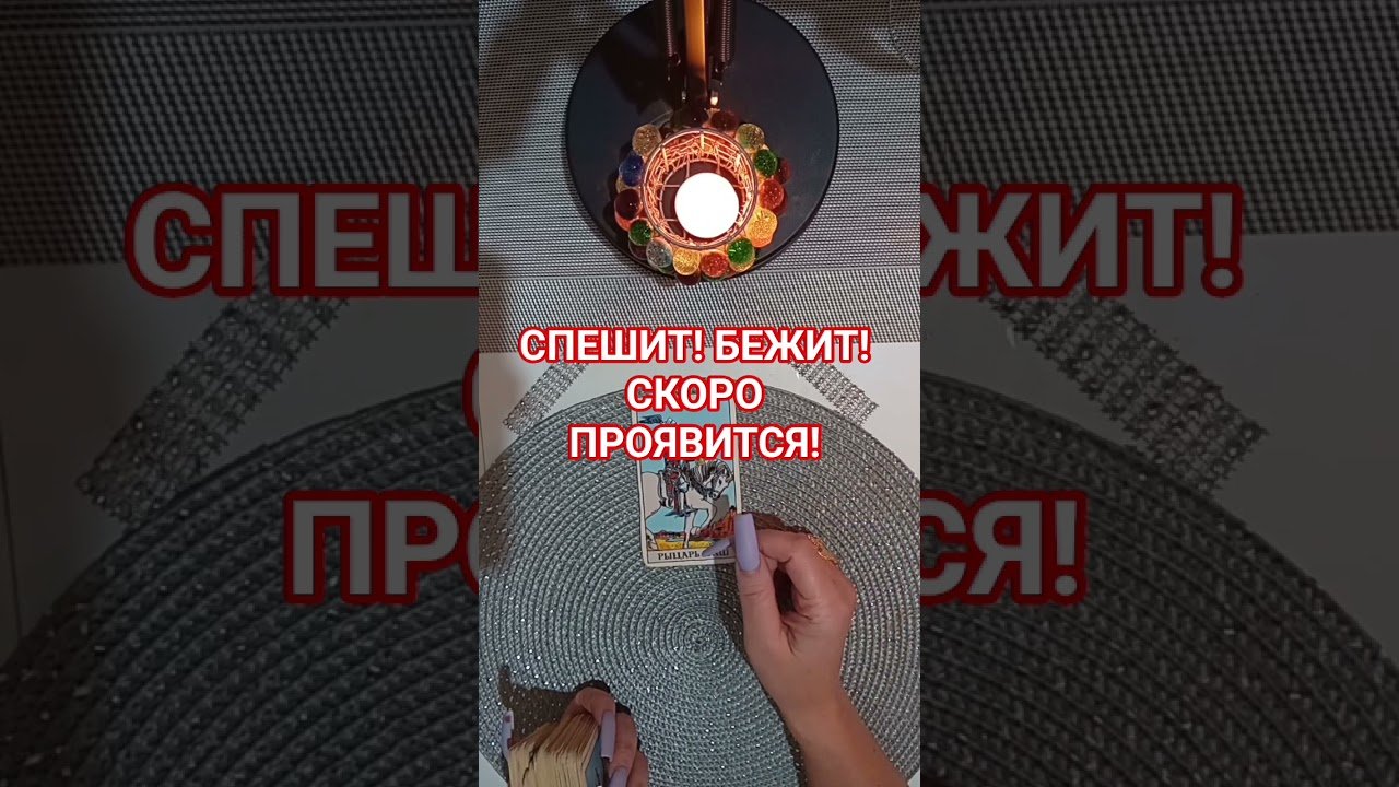 No momento, você está visualizando 31 августа 2025 г.