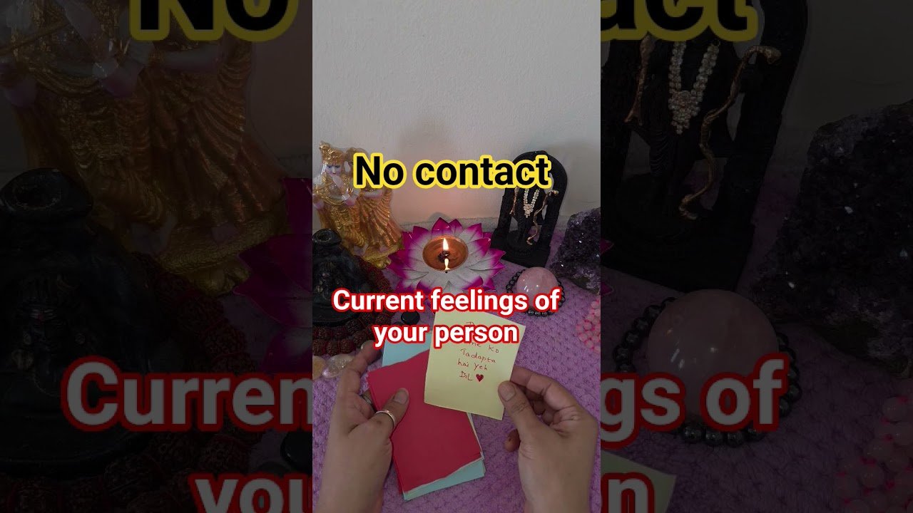 No momento, você está visualizando aap ke partner ki current feelings in No contact