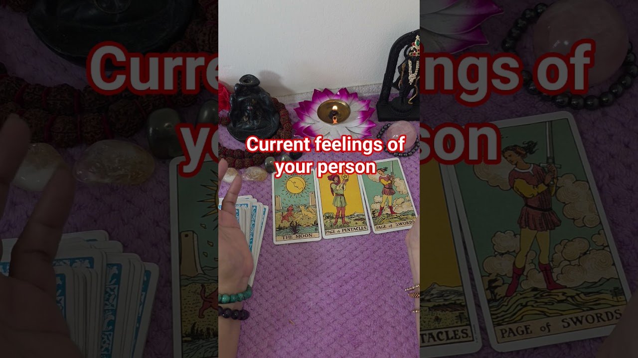 No momento, você está visualizando aap ke partner ki current feelings