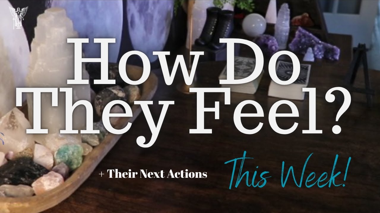 No momento, você está visualizando ALL SIGNS: Their FEELINGS For YOU This WEEK!