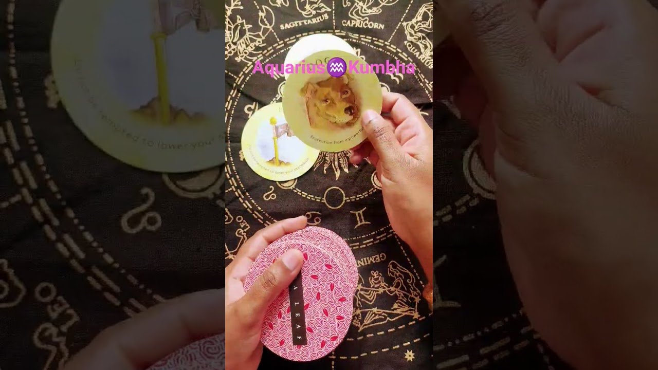 No momento, você está visualizando Aquarius ♒ Kumbha ✨ Weekly Tarot Reading ✨ Horoscope Predictions ✨