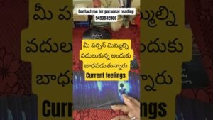 Leia mais sobre o artigo August #tarot #lifeisbutadream #tarotreading #whowillbemylifepartnerta #tarotreader #lovereading