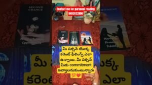 Leia mais sobre o artigo August #tarot#tarotreading #lovereading#tarotreader#love #lifeisbutadream#soulmate #currentfeelings