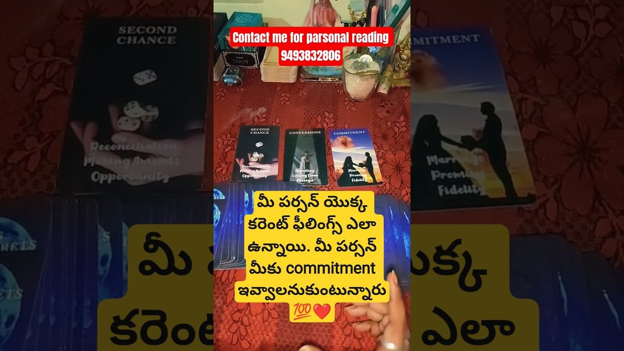 No momento, você está visualizando August #tarot#tarotreading #lovereading#tarotreader#love #lifeisbutadream#soulmate #currentfeelings