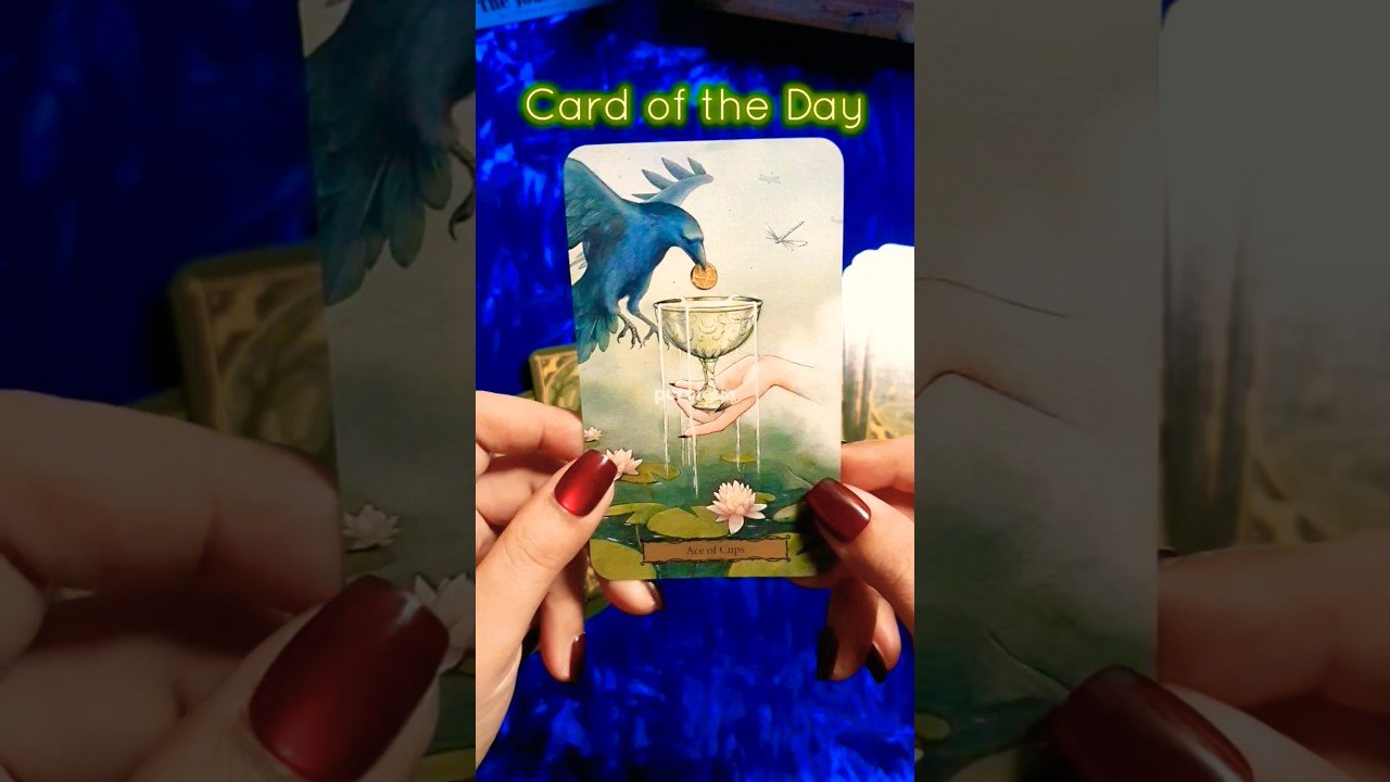 No momento, você está visualizando Card of the Day ✨️