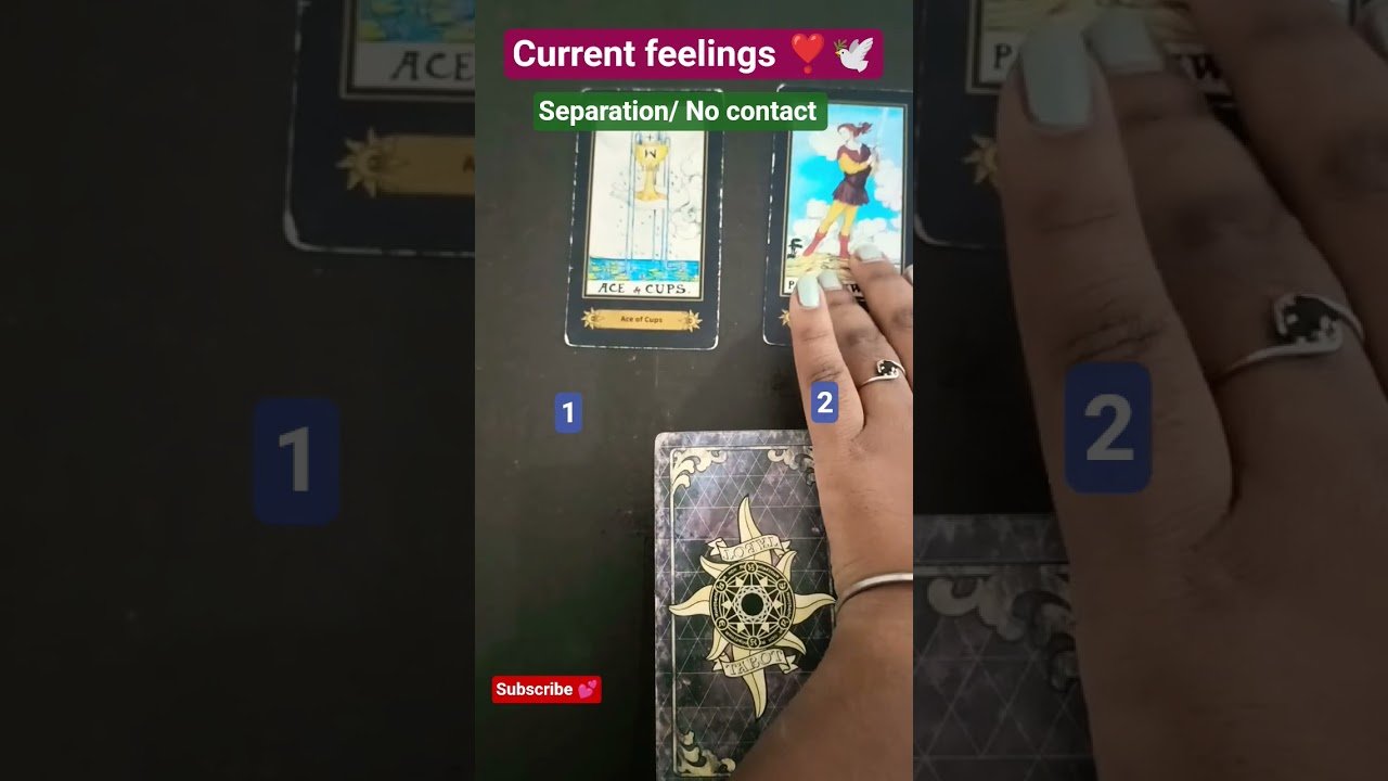 No momento, você está visualizando Current Feelings 💭 No Contact | Pick A Card Tarot Reading 🔮