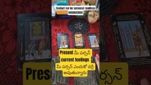 Leia mais sobre o artigo current feelings #tarot #tarotreading #tarotreader #cardreading #astrology #viralvideo