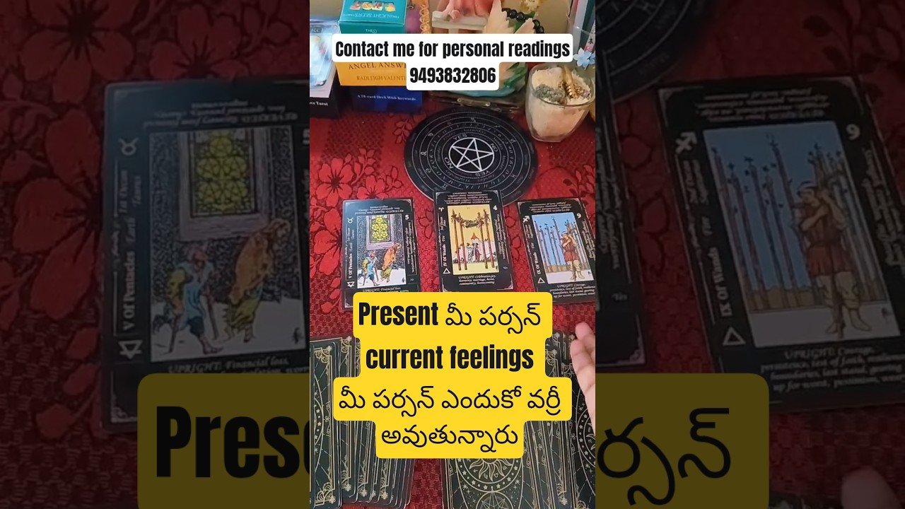 No momento, você está visualizando current feelings #tarot #tarotreading #tarotreader #cardreading #astrology #viralvideo