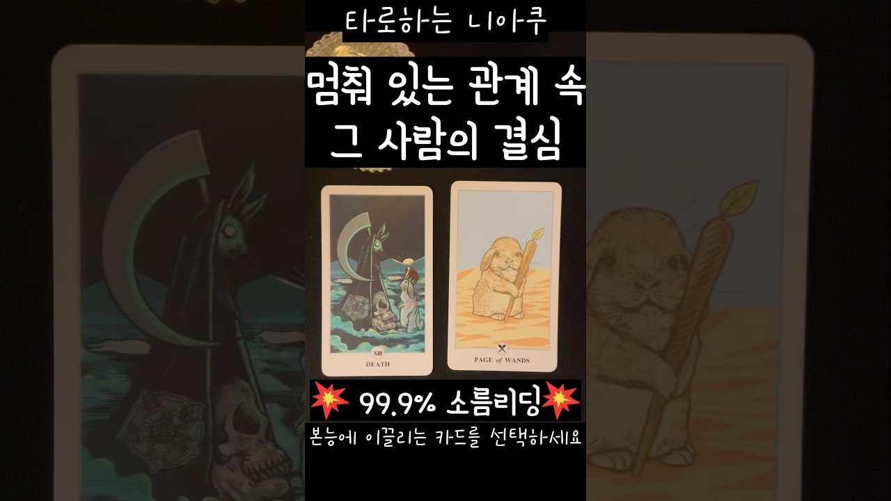 No momento, você está visualizando [타로] 🔍멈춰 있는 관계 속, 그 사람의 결심