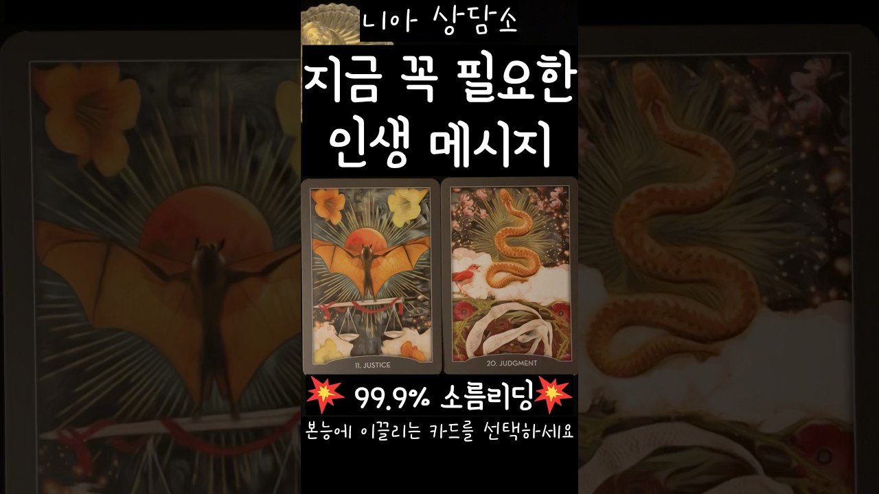 No momento, você está visualizando [타로] 💡인생이 멈춘 듯 느껴질 때 필요한 메시지