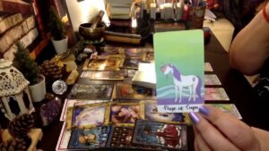 Leia mais sobre o artigo O ve SEN…