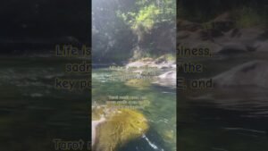 Leia mais sobre o artigo #oldies #coversong #singer #song #vintage #tarot #basicwitch #music #tarotreading #tarotreader