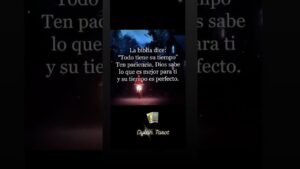 Leia mais sobre o artigo #piano #pianocover #music #abba #pianomusic #lecturacartas #amor #tarot #song #tarotamornuevo