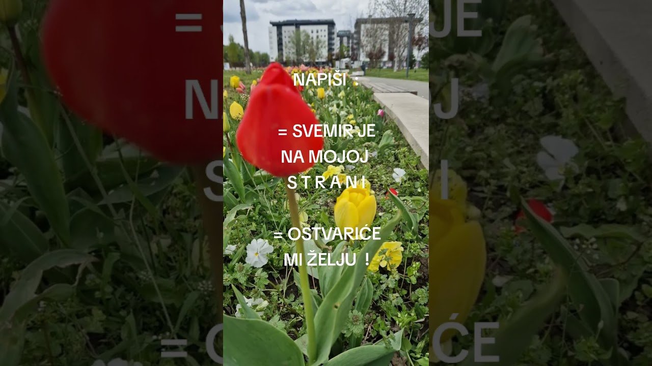 No momento, você está visualizando POZITIVNA PORUKA DANA ZA TEBE ❤️ BLIC TAROT HOROSKOP LJUBAV DOBITAK SREĆA