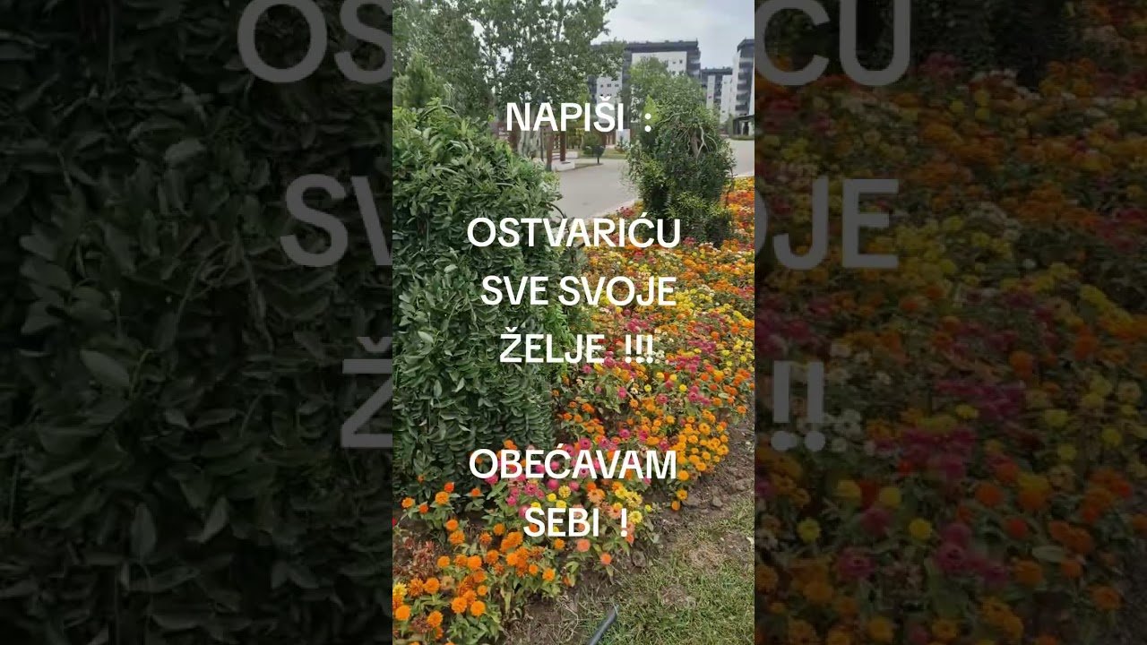 No momento, você está visualizando POZITIVNA PORUKA DANA ZA TEBE 👉 ENERGIJA SREĆE I DOBITKA ASTRO TAROT HOROSKOP BLIC LJUBAV