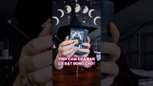 Leia mais sobre o artigo Tình cảm của bạn có đặt đúng chỗ không? #tarot #duongtarot #tarotreels #tarotvietnam #tarotonline