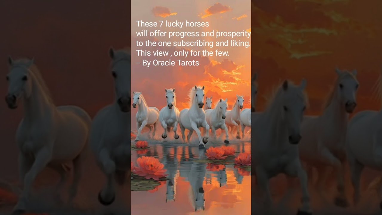 No momento, você está visualizando #tarot #lifeisbutadream #tarotreading #motivation #predictions #blessings #bless