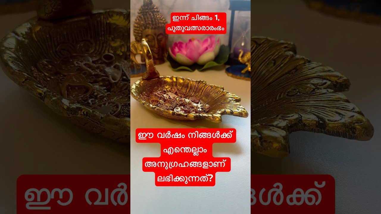 No momento, você está visualizando #tarot #tarotreading #tarotcards #tarotcardreading #divineguidance #soul #df #soulpurpose #blessings