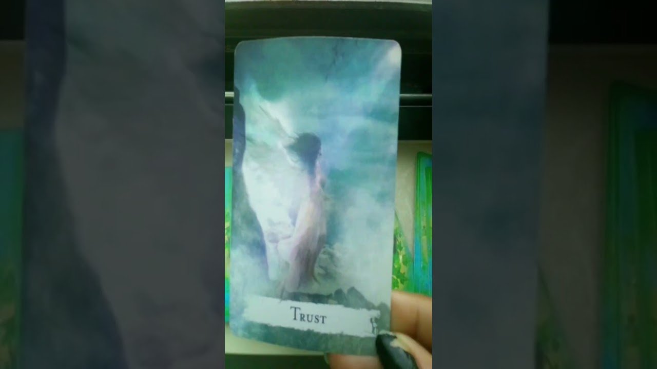 No momento, você está visualizando #tarot #tarotreading #witchtok #haveitoldyoulatelythatiloveyou #tarotreader