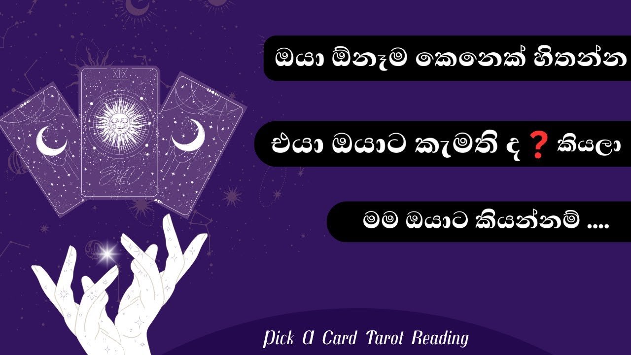 No momento, você está visualizando Think of Someone… and I’ll Tell You if They Really Like You 💖💭 tarot card reading sinhala