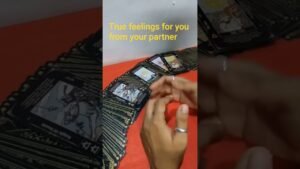 Leia mais sobre o artigo true feelings for you from your partner #tarot #Bengali tarot reading #short video
